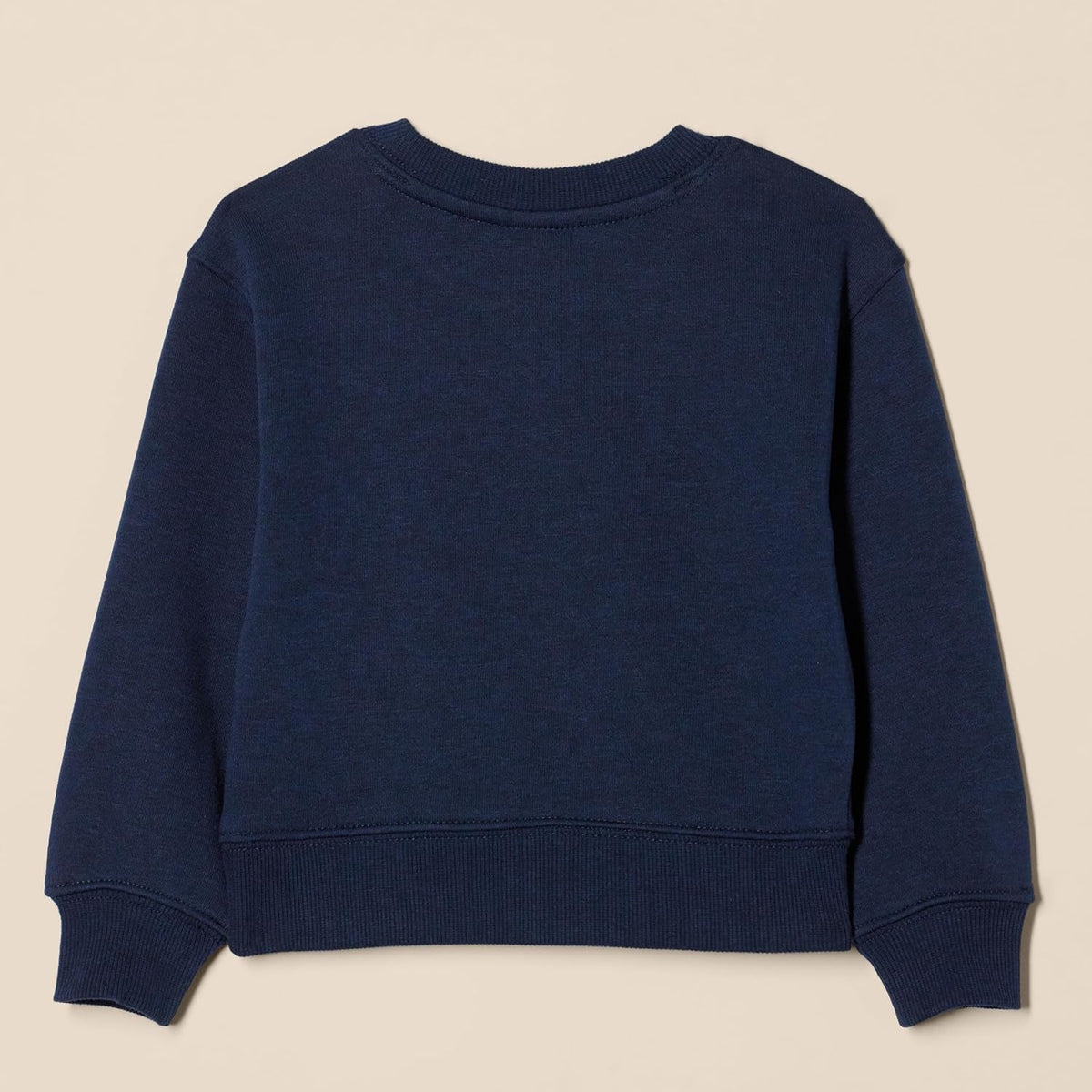 Boys Regular Fit Crew Neck Sweatshirt