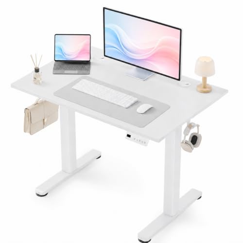 40 x 24 Inch White Electric Standing Desk