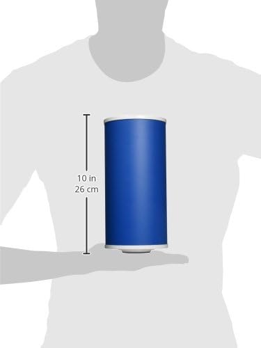 American Plumber WGCHD 155153-51 Heavy Duty Taste and Odor Replacement Cartridge
