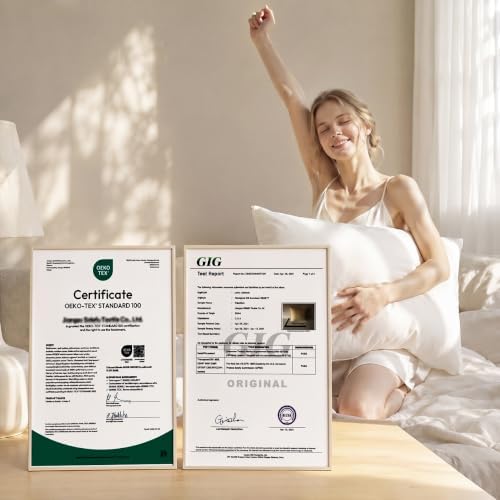 Adjustable Organic Pillow 20x30 with Organic Cotton Pillowcase &Shell