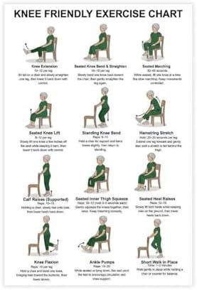 Knee Exercises for Seniors Gentle Knee Strength Mobility Friendly Chair Exercises Senior Fitness Canvas Poster Wall Art for Living Room Bedroom Decor Unframe 20x30inch