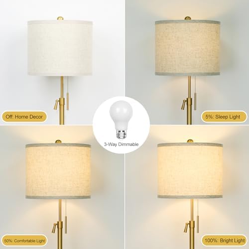 Qingmiao 55-67" Adjustable Floor Lamp, Anti-tip Base, 3Way Bulb, Pull Chain