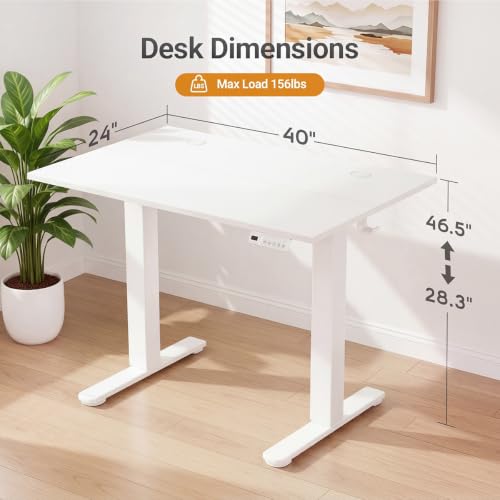 40 x 24 Inch White Electric Standing Desk