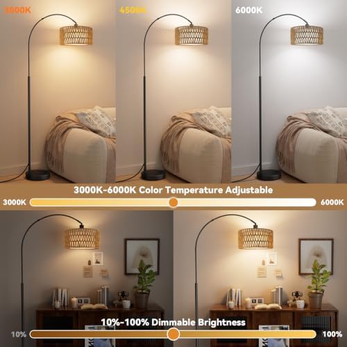 Ambimall Rustic Arc Floor Lamp, Color Temp and Brightness Adjustable,Black