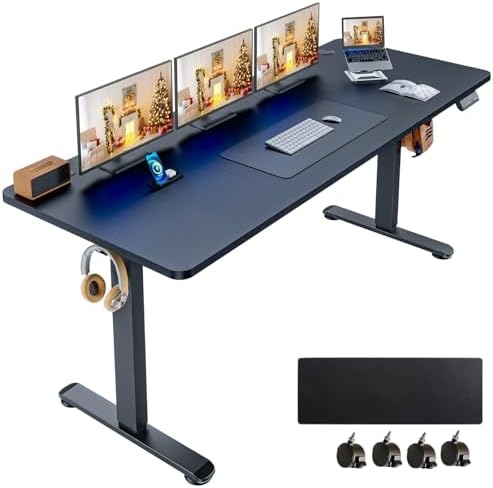 63'' × 24'' Height Adjustable Electric Standing Desk with Wheels