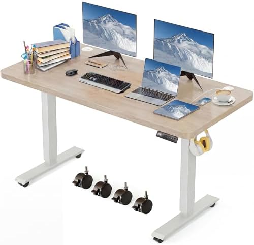 48'' × 24'' Height Adjustable Electric Standing Desk with Wheels