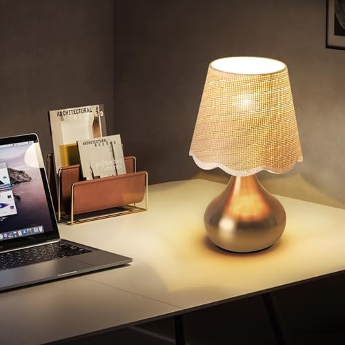 Small Table Lamp - Brass Gold Mini Table Lamps for Bedroom Vintage Decor Bedside Lamps for Night Stands Scalloped Rattan Shade Desk Lamp for Kids Room, Living Room, College Dorm, Home, Kitchen