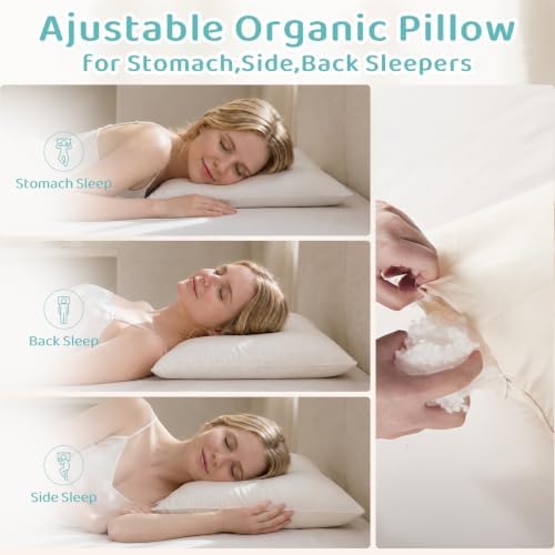 Adjustable Organic Pillow 20x30 with Organic Cotton Pillowcase &Shell
