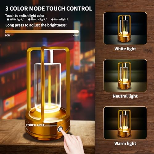 Rechargeable Table Lamp, 4000mAh Battery-Operated Cordless (Gold-2)