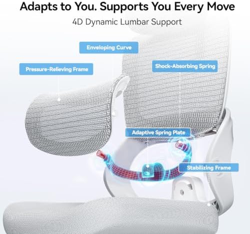 SIHOO B100 SE Ergonomic Mesh Office Chair, Desk Chair with Lumbar Support