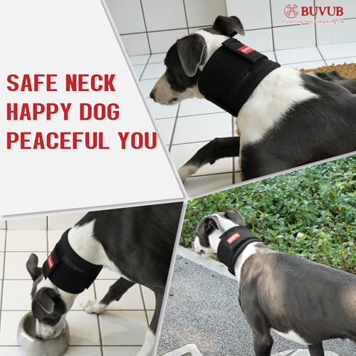 Adjustable Dog Neck Brace for Neck Pain & Injury Relief - Soft & Comfortable Support Collar for Dogs for Recovery After Surgery or Injury(XLarge)