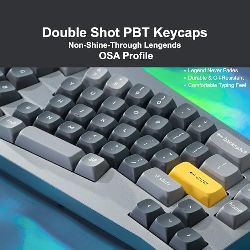 Keychron Q8 Wired Custom Mechanical Keyboard with Knob, 65% Alice Layout QMK/VIA Programmable, Hot-swappable Gateron G Pro Blue Switch, Double Gasket Compatible with Mac Windows Linux (Silver Grey)