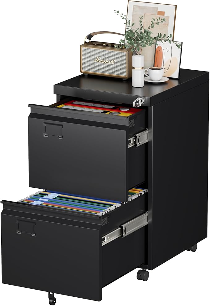 METAN 2 Drawer Vertical File Cabinet with Lock, Mobile Metal Filing Cabinet for Legal/Letter Size, Office Storage File Cabinet Under Desk with Card Holder,Assembly Required, Black