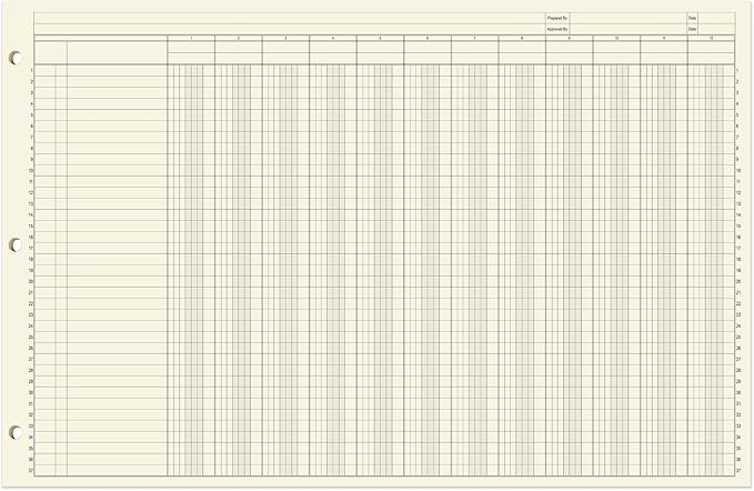 BookFactory Ledger Sheets/Large 12 Column Accounting Ledger Columnar (Twelve Columns) Loose Leaf Paper - 17'' x 11'', 50 Pages, Loose Leaf, 3 Hole Punched (Made in USA)